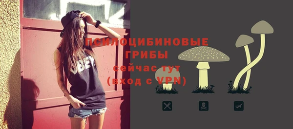 бошки Арсеньев
